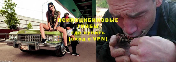 молекула духа Аркадак