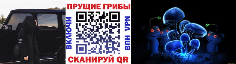 купить наркотик нарко площадка какой сайт Галлюциногенные грибы мухоморы Снежногорск